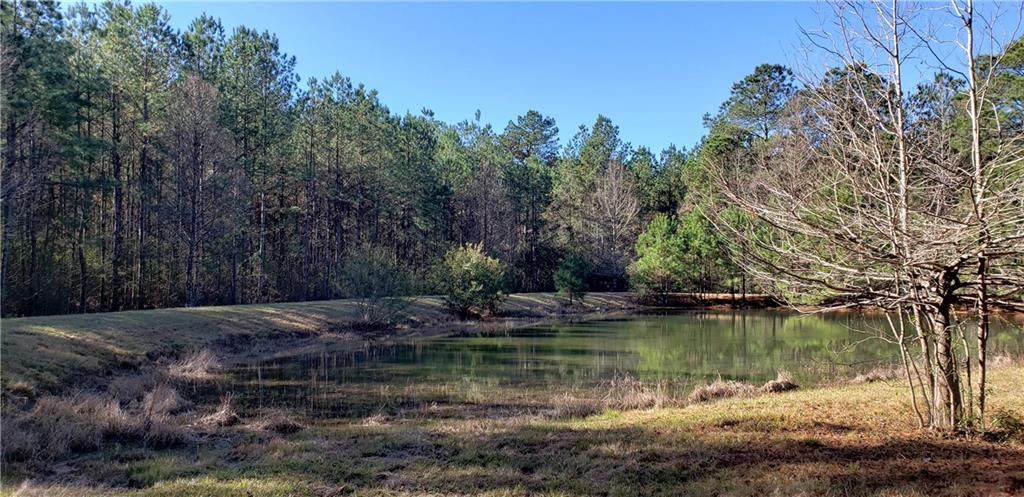 53019 South Bennett Road Independence, LA 70443 - Photo 7 of 9
