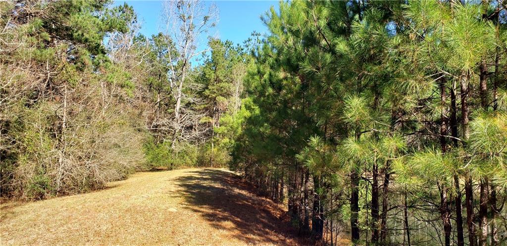 53019 South Bennett Road Independence, LA 70443 - Photo 9 of 9