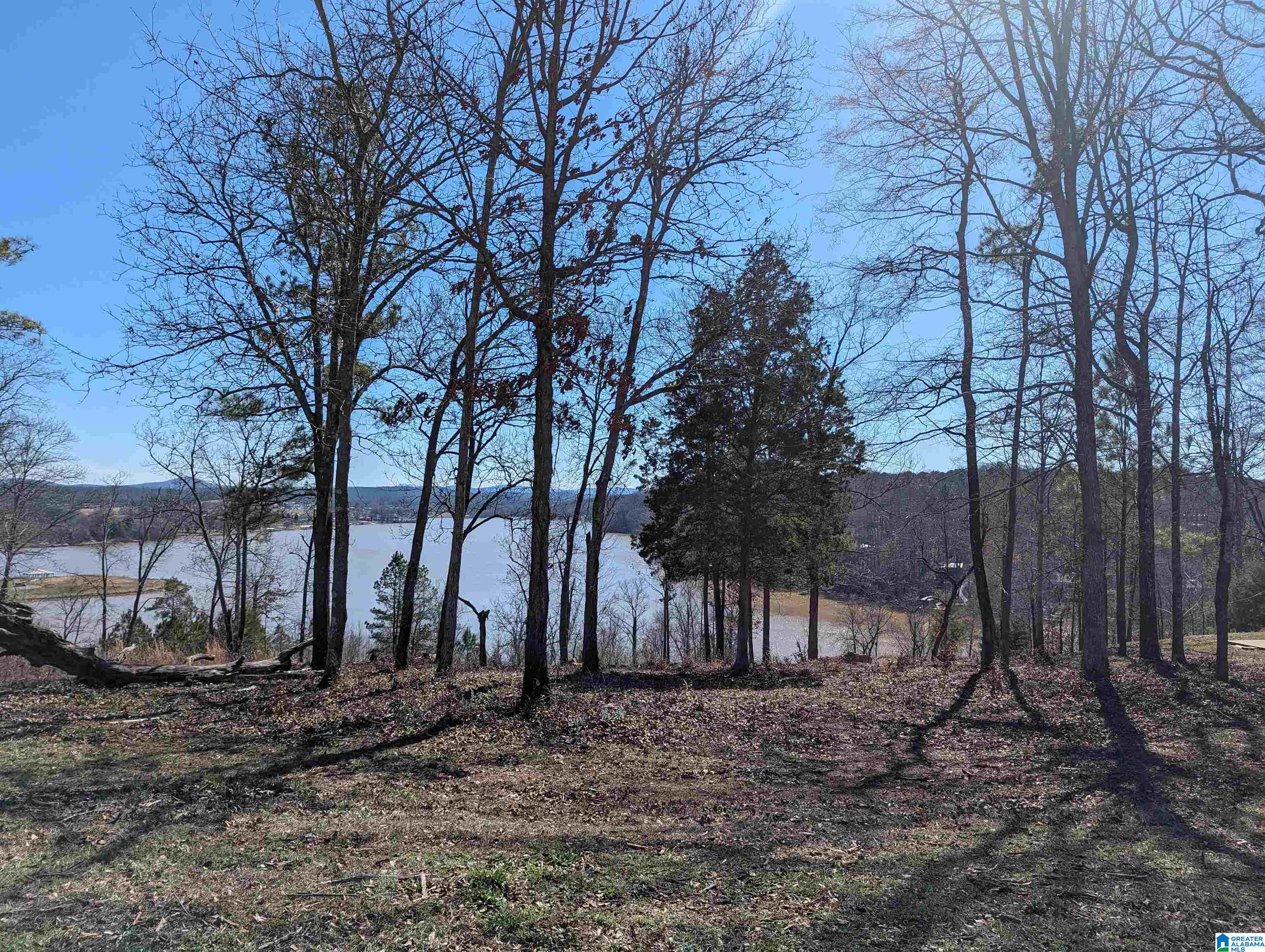 0 Overlook Ridge Lincoln, AL 35096 - Photo 2 of 33