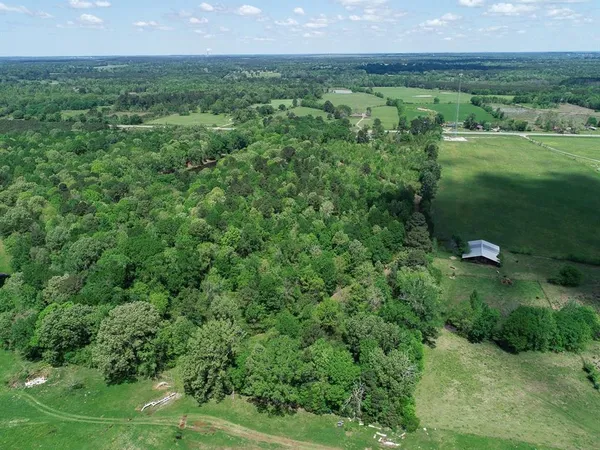 a view of a lush green outdoor space with a lake view and mountain view