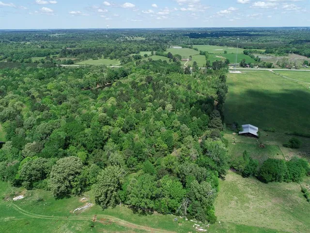 a view of a lush green outdoor space with a lake view and mountain view