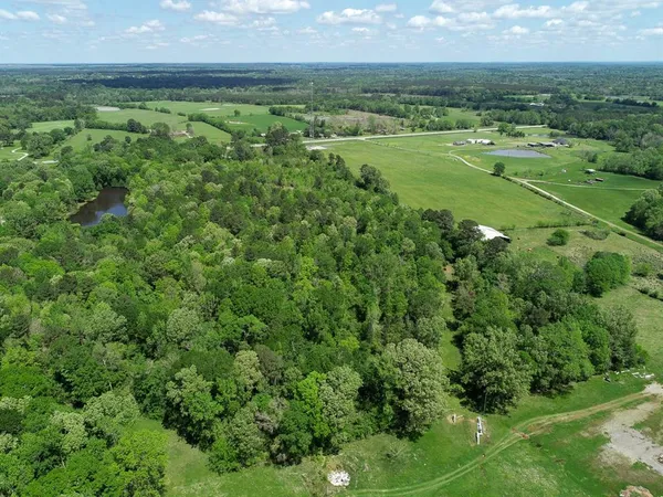 a view of a lush green field
