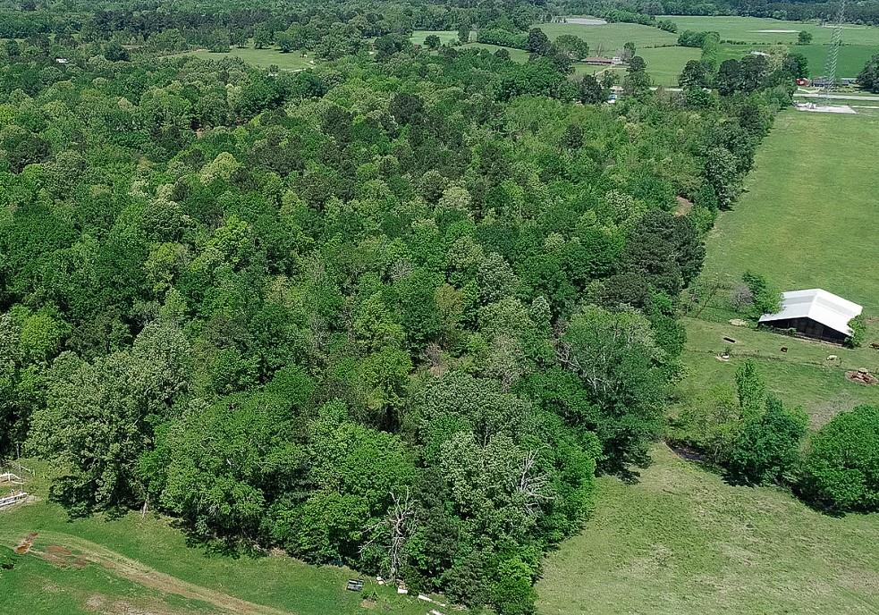 0 Highway 79 Carthage, TX 75633 - Photo 6 of 7 an aerial view of residential house with outdoor space and trees all around