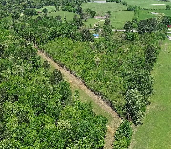 0 Highway 79 Carthage, TX 75633 - Photo 7 of 7 an aerial view of residential house with outdoor space and trees all around