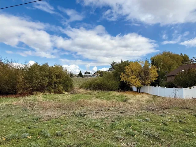 a view of a large yard with a large tree