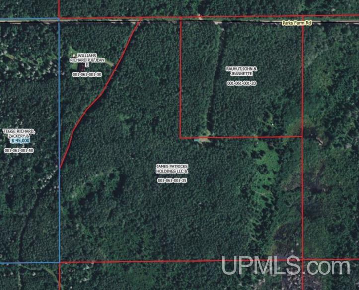17-acres Parks Farm Road Iron River, MI 49935 - Photo 2 of 3 Gallery Image 2