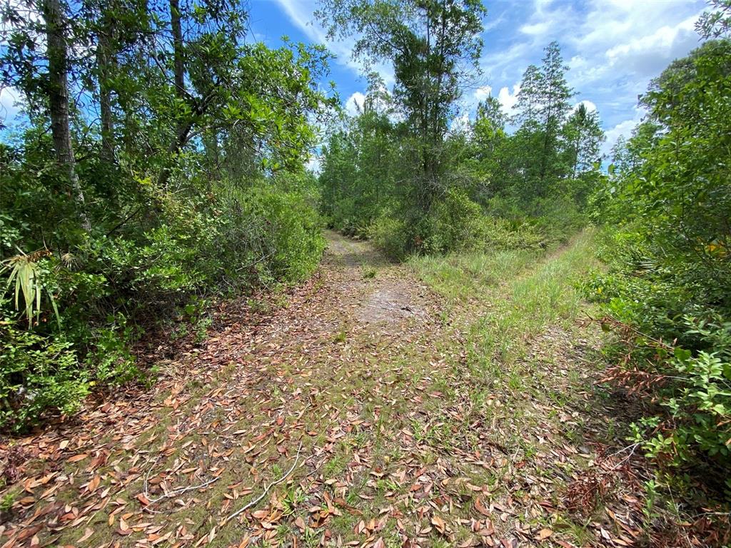 Purvis Road Seville, FL 32190 - Photo 1 of 1