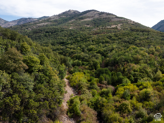 4993 North Powder Mountain Road Eden, UT 84310 - Photo 18 of 35