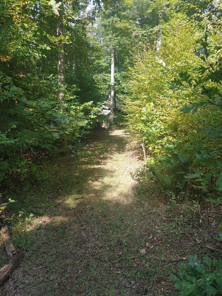 0 Reece Road Southwest Willis, VA 24380 - Photo 19 of 21 Gallery Image 19