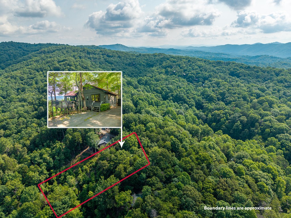 600 Cohutta Mountain Road Blue Ridge, GA 30513 - Photo 38 of 46