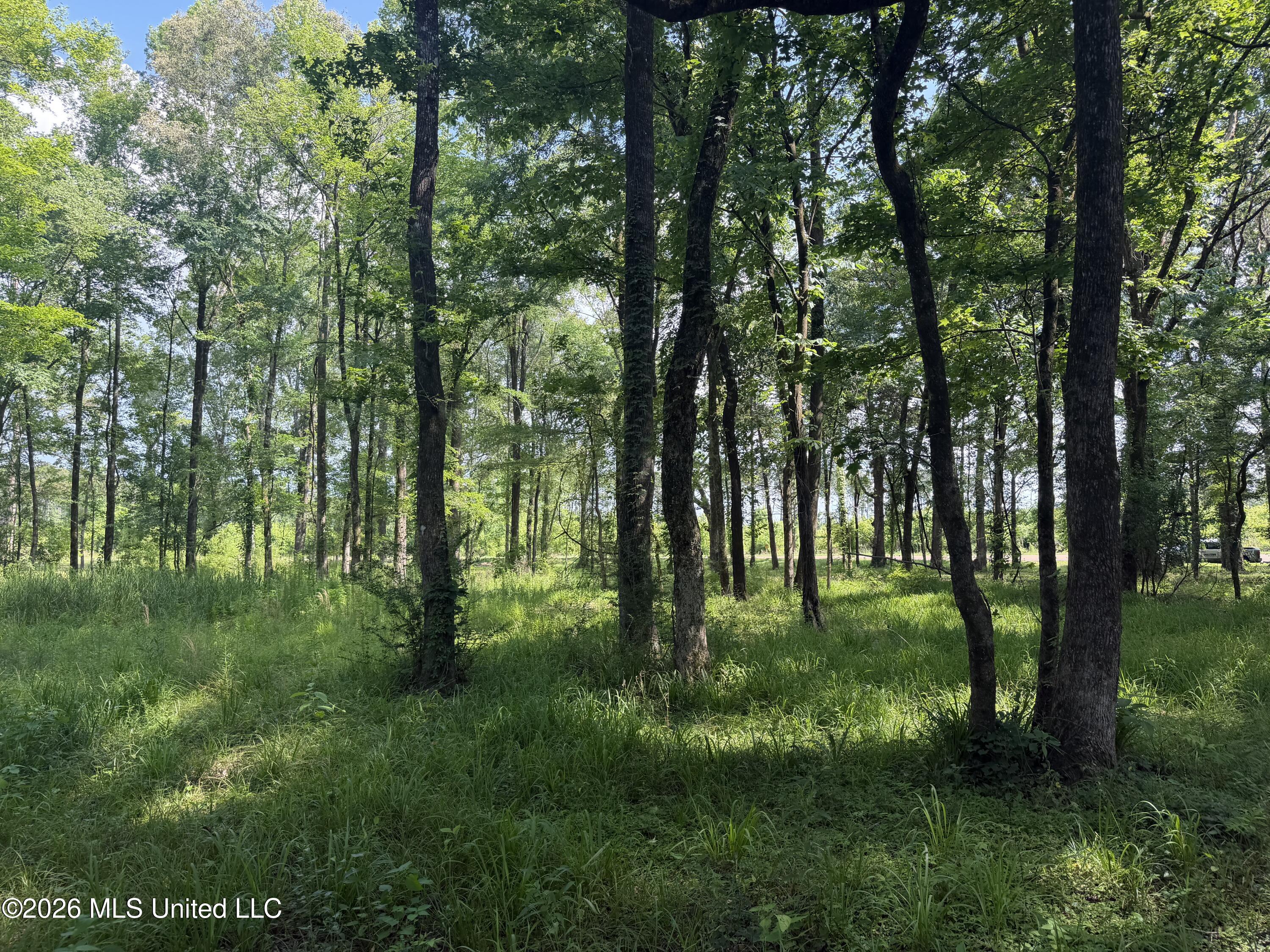 512 Ratliff Ferry Road Canton, MS 39046 - Photo 20 of 42 Photo Jun 02 2026, 3 54 15 PM