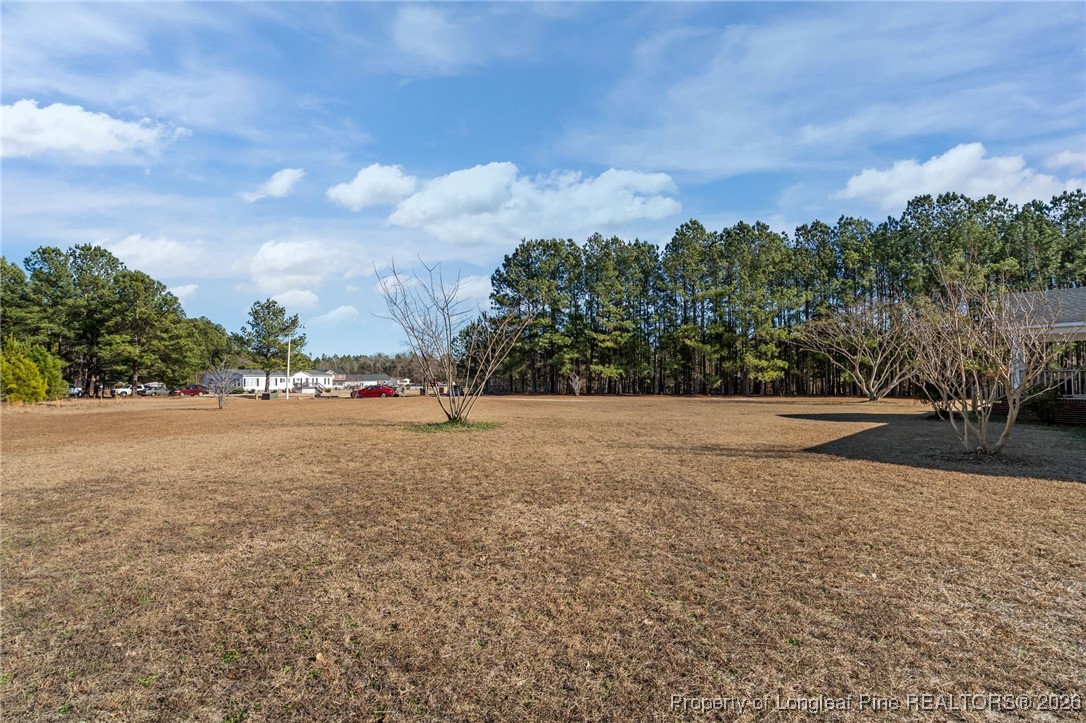 26261 Beaver Run Wagram, NC 28396 - Photo 42 of 50 a view of outdoor space