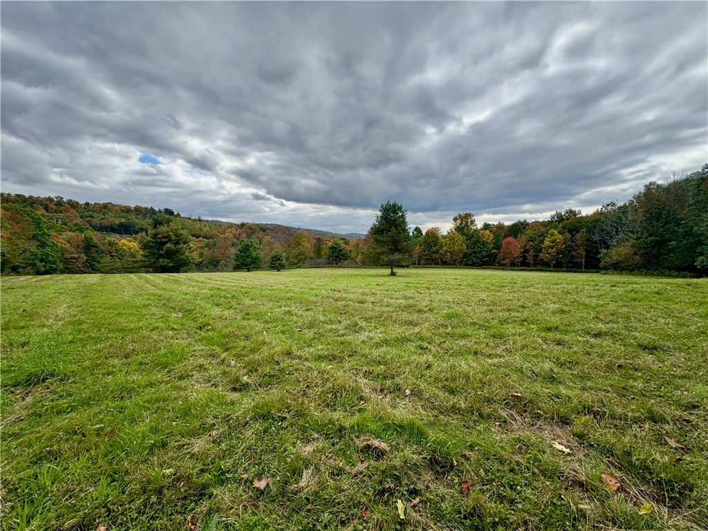 Gallop Hill Road Walton, NY 13856 - Photo 29 of 48 Gallery Image 29