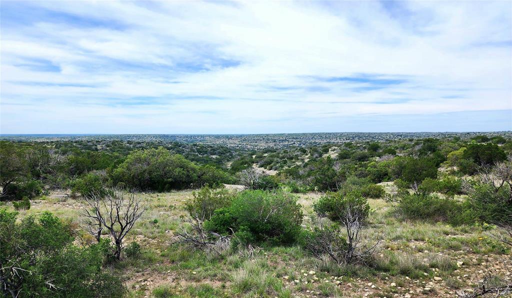 Tbd Tbd Peck Road Comstock, TX 78837 - Photo 1 of 21