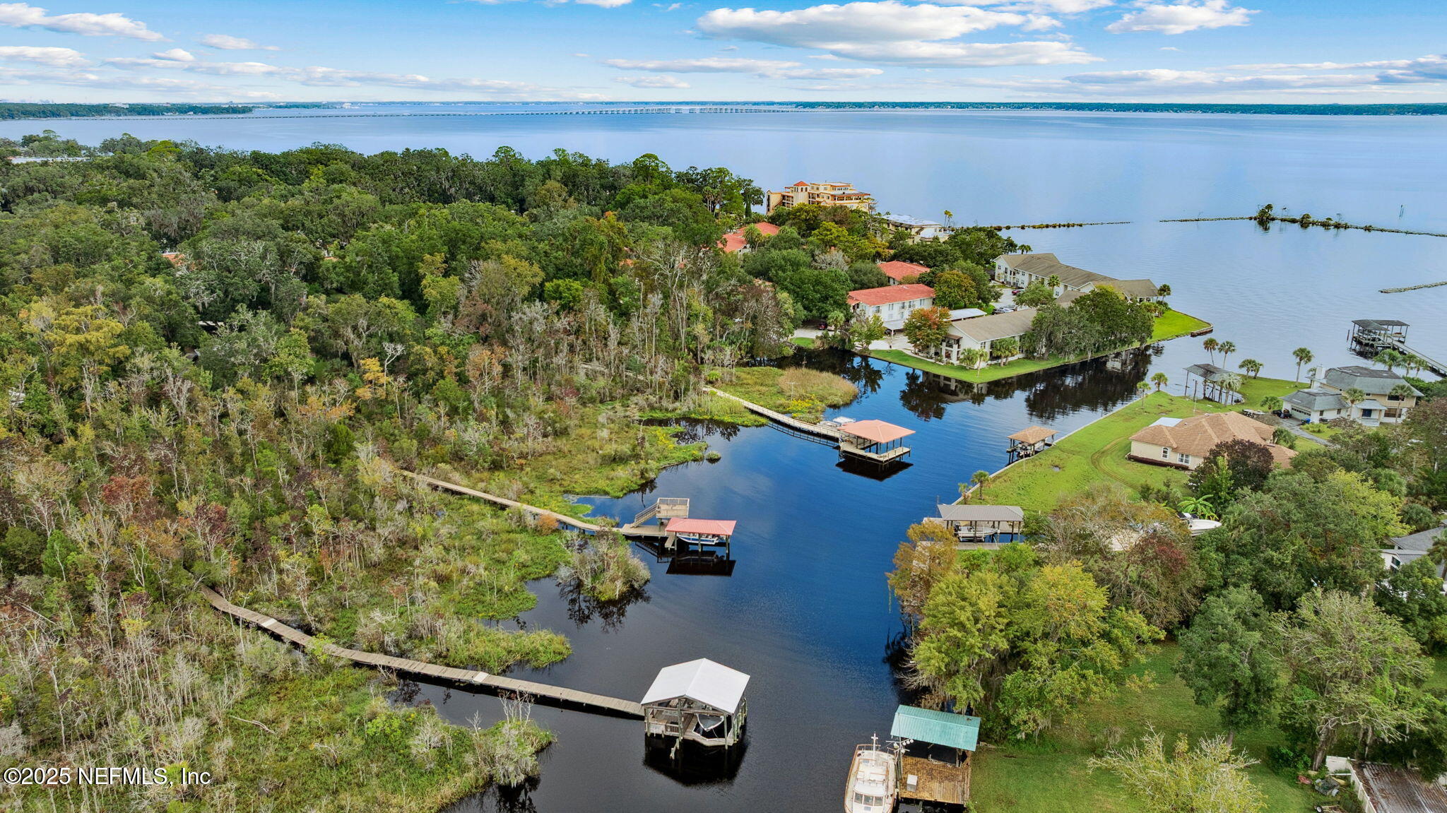 2245 Reed Street Orange Park, FL 32073 - Photo 104 of 107 an aerial view of a house with a garden