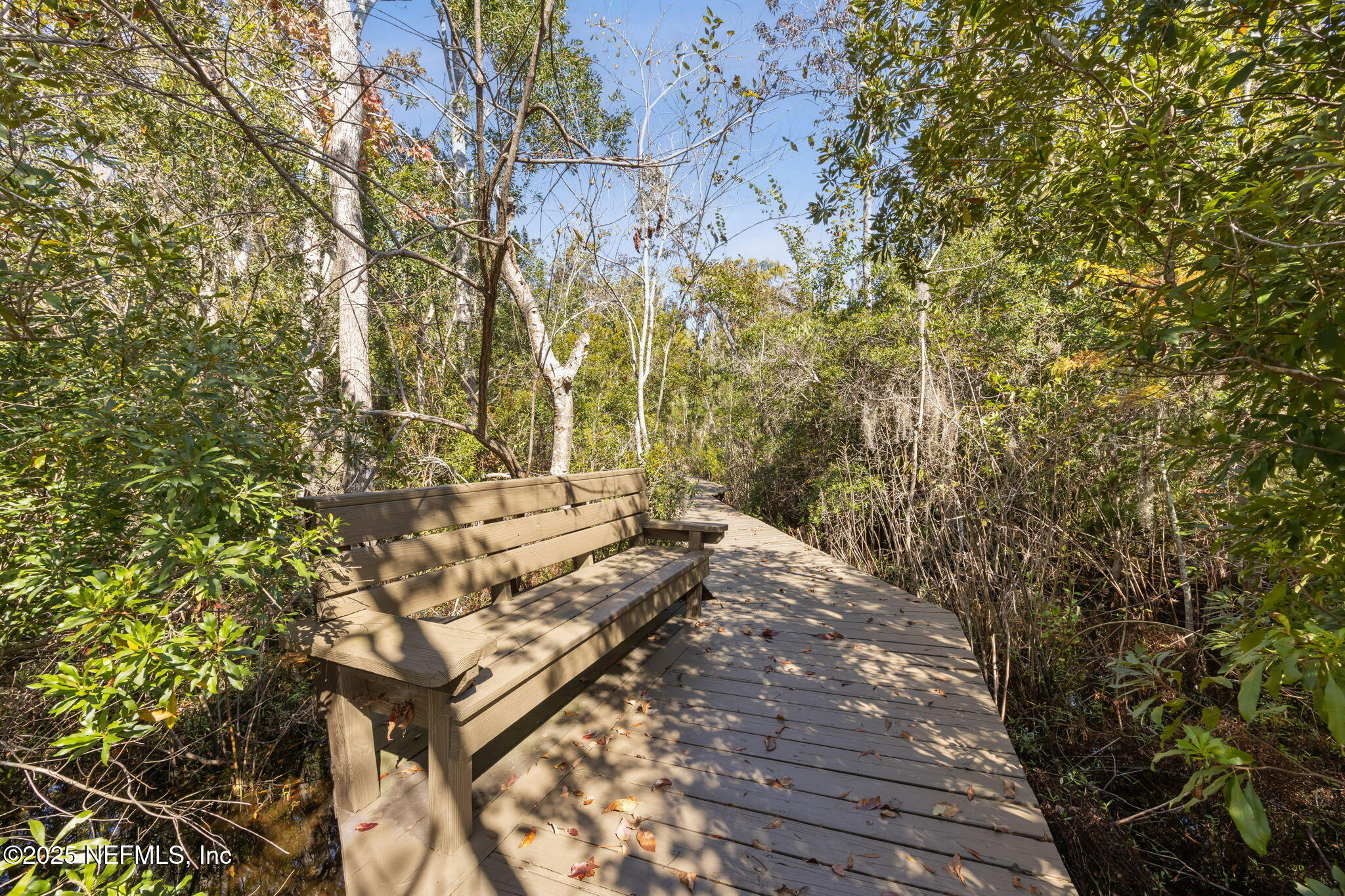 2245 Reed Street Orange Park, FL 32073 - Photo 69 of 107 68-web-or-mls-2245 Reed St (68 of 111)