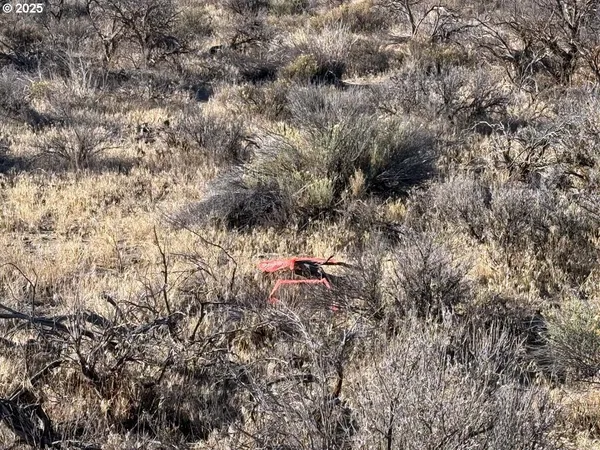 $10,000 | Pinion Lane, Unit 9200, Christmas Valley, OR 97641