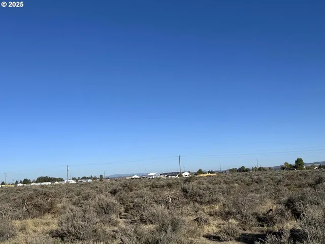 a view of a forest with trees