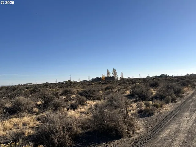 $10,000 | Pinion Lane, Unit 9200, Christmas Valley, OR 97641