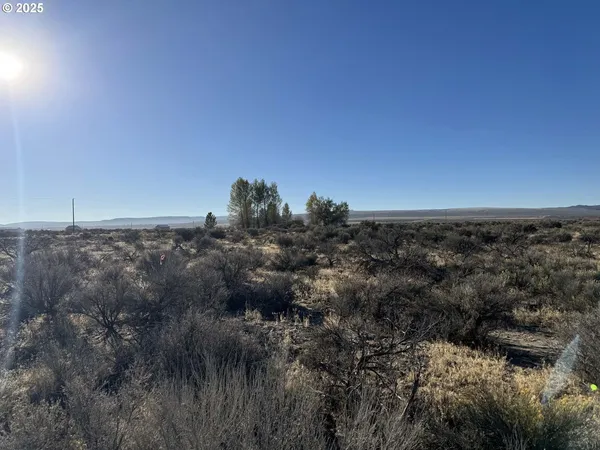 $10,000 | Pinion Lane, Unit 9200, Christmas Valley, OR 97641