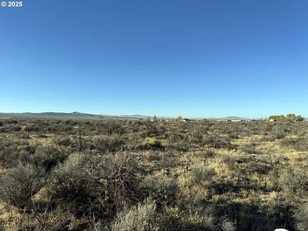 $10,000 | Pinion Lane, Unit 9200, Christmas Valley, OR 97641