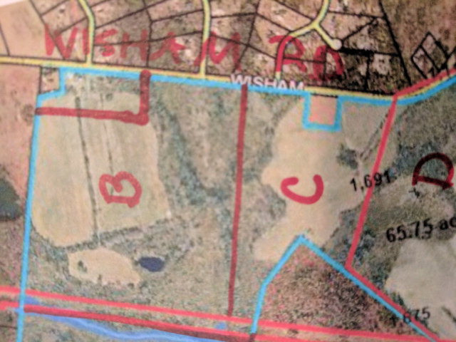 0 Wisham Road Thomson, GA 30824 - Photo 3 of 6