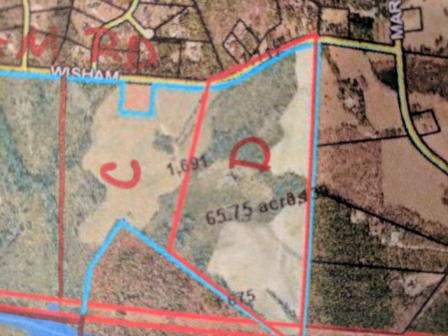 0 Wisham Road Thomson, GA 30824 - Photo 4 of 6
