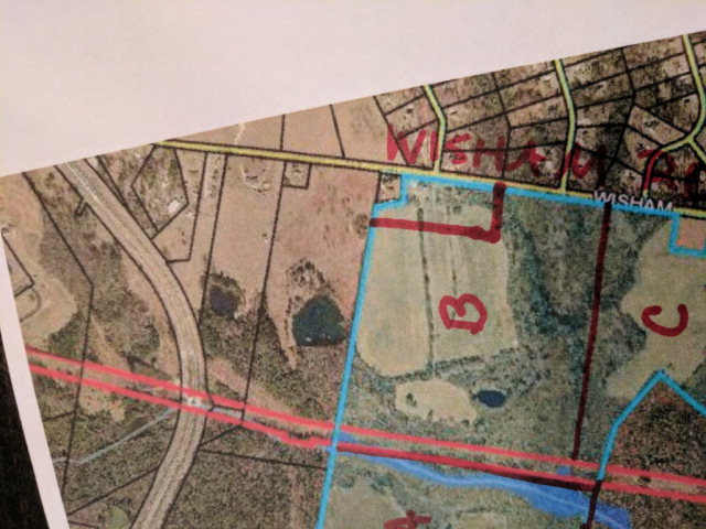 0 Wisham Road Thomson, GA 30824 - Photo 6 of 6