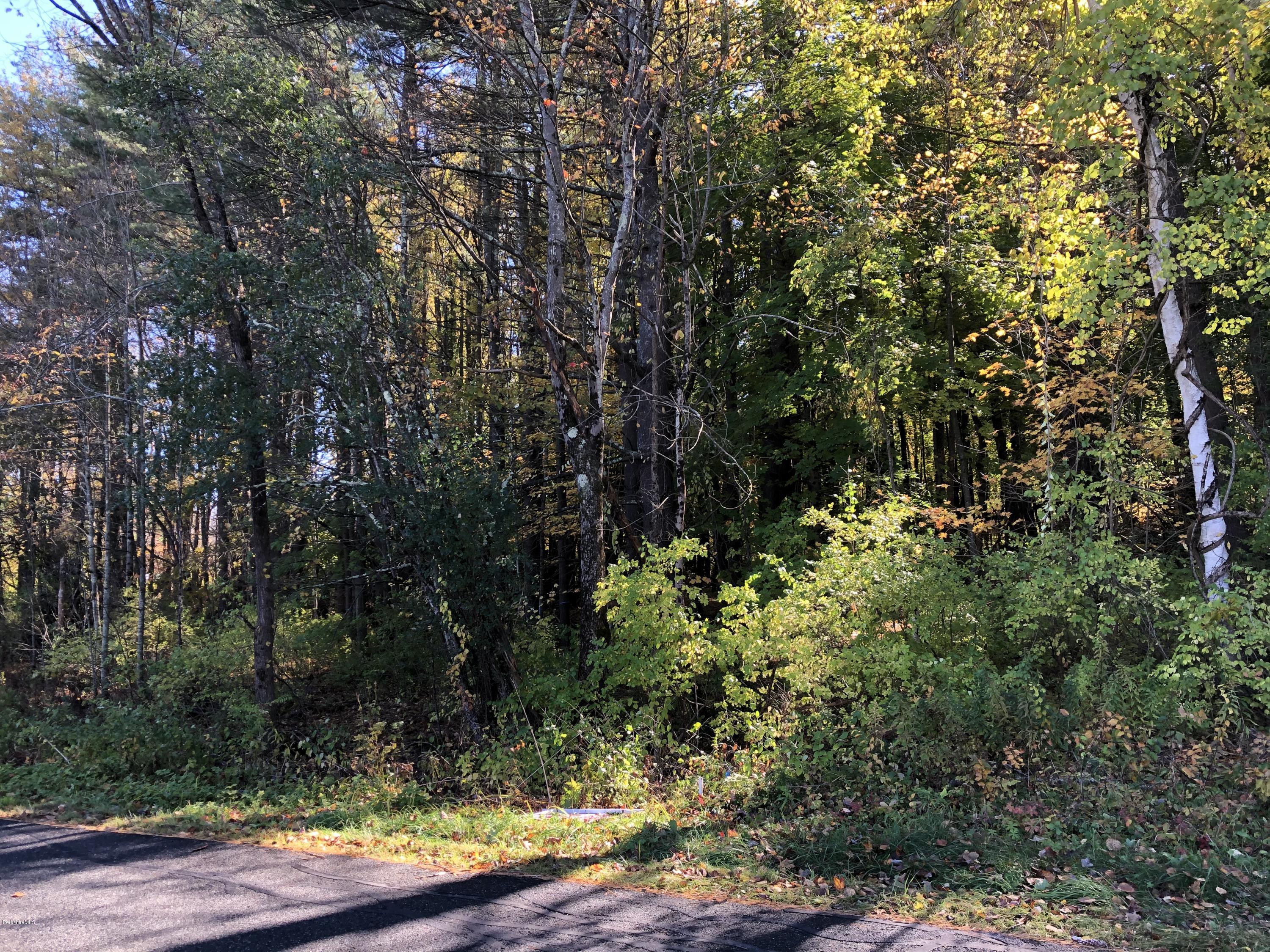 0 Devon Road Stockbridge, MA 01262 - Photo 4 of 10