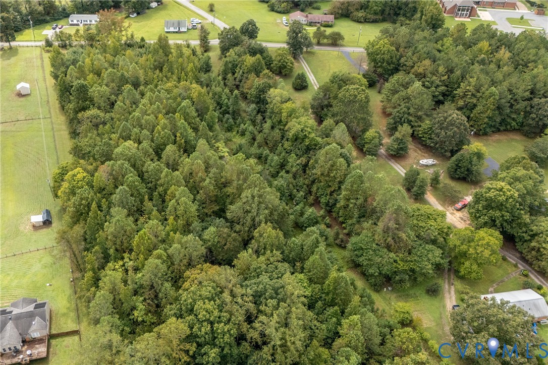 a view of a forest with a houses