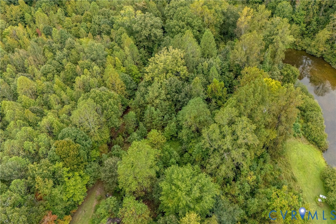 5210 Hopewell Road New Kent, VA 23124 - Photo 13 of 14 a view of a big yard with plants and large trees