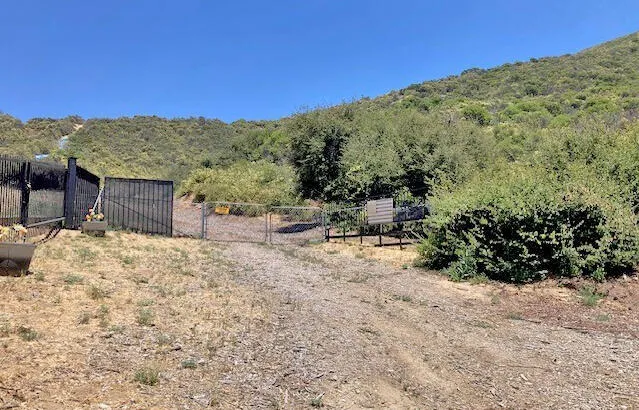 a view of a backyard
