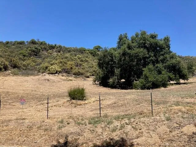 a backyard of a house with lots of trees