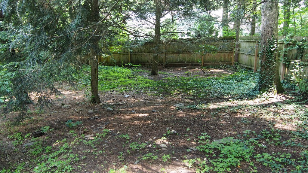 27 Hills Road Amherst, MA 01002 - Photo 22 of 24 Gallery Image 22