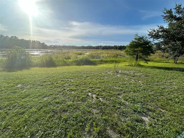 a view of a yard with a tree