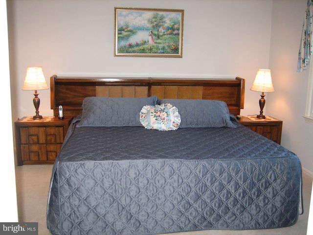 6 Blueberry Ridge Court Potomac, MD 20854 - Photo 13 of 23 Bedroom (Master)