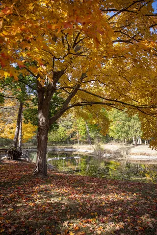 $1,259,000 | 14930 West Wadsworth Road, Wadsworth, IL 60083