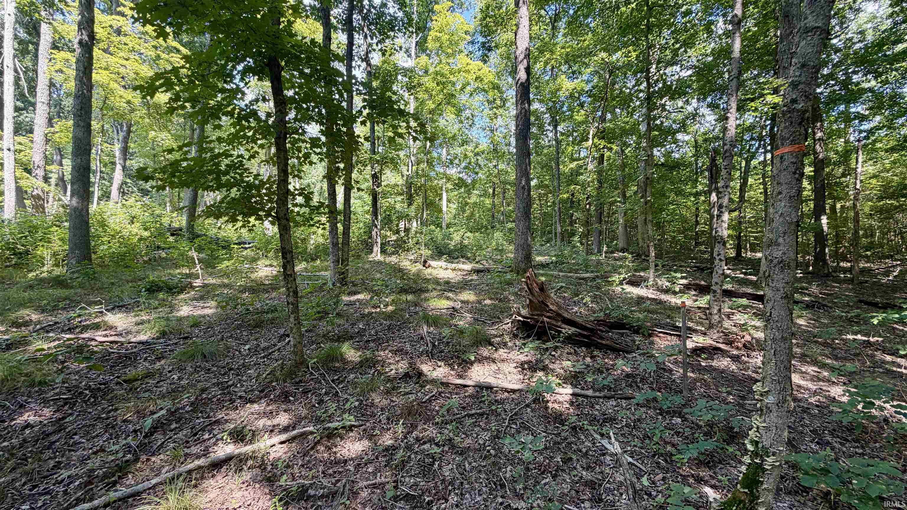 675 South Co Road French Lick, IN 47432 - Photo 23 of 36 Gallery Image 23