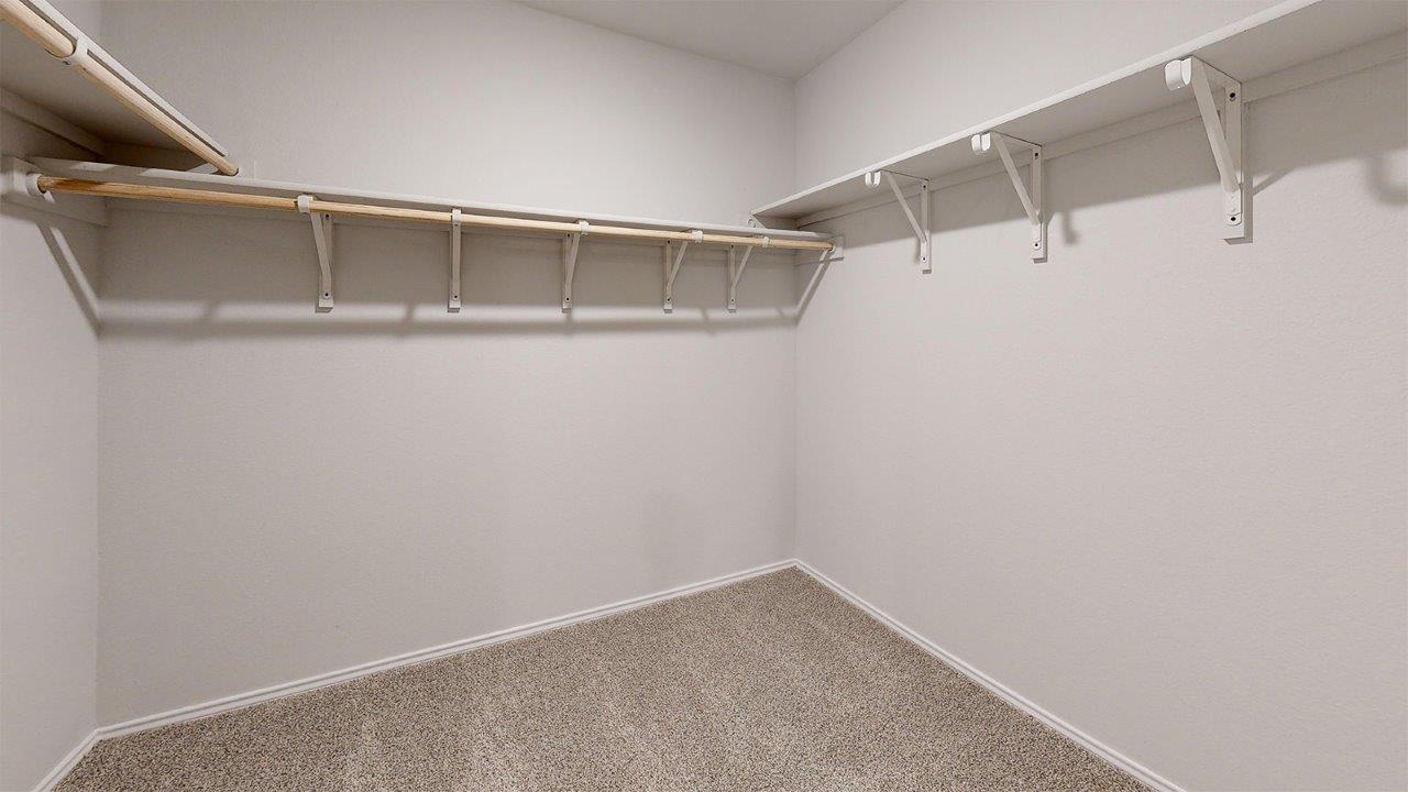 557 Hector Loop Georgetown, TX 78626 - Photo 31 of 38 Spacious closet featuring wall-mounted shelving, integrated hanging rods, and neutral carpet flooring