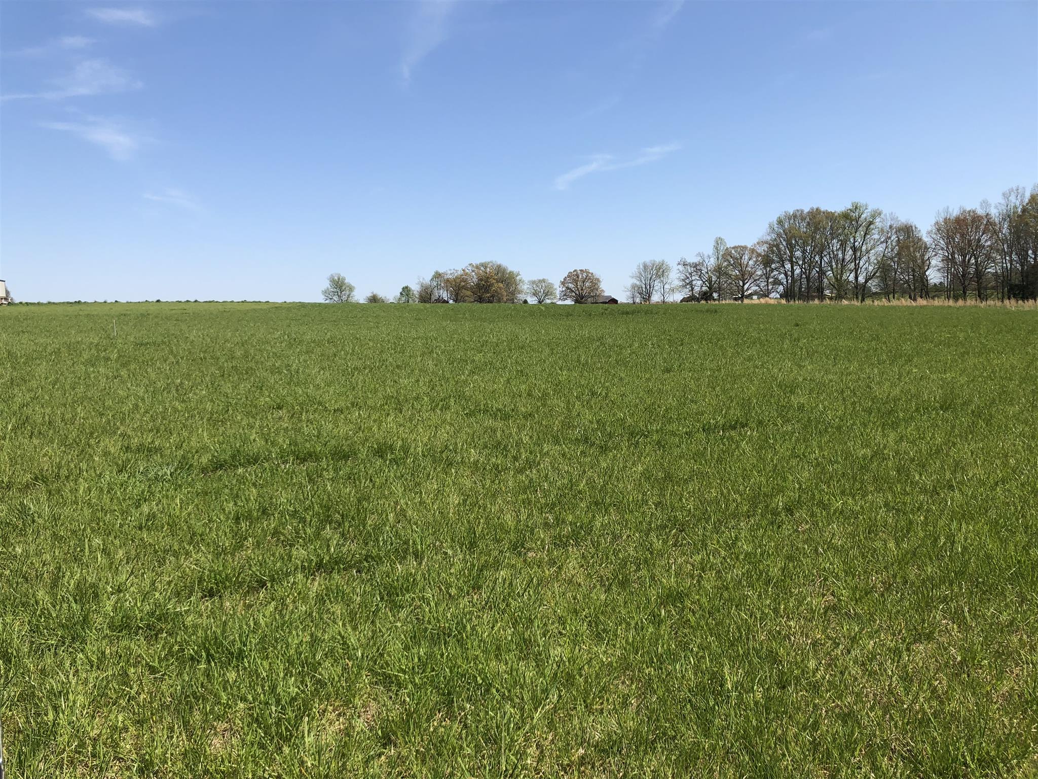 347 Patrick Road Fayetteville, TN 37334 - Photo 3 of 5