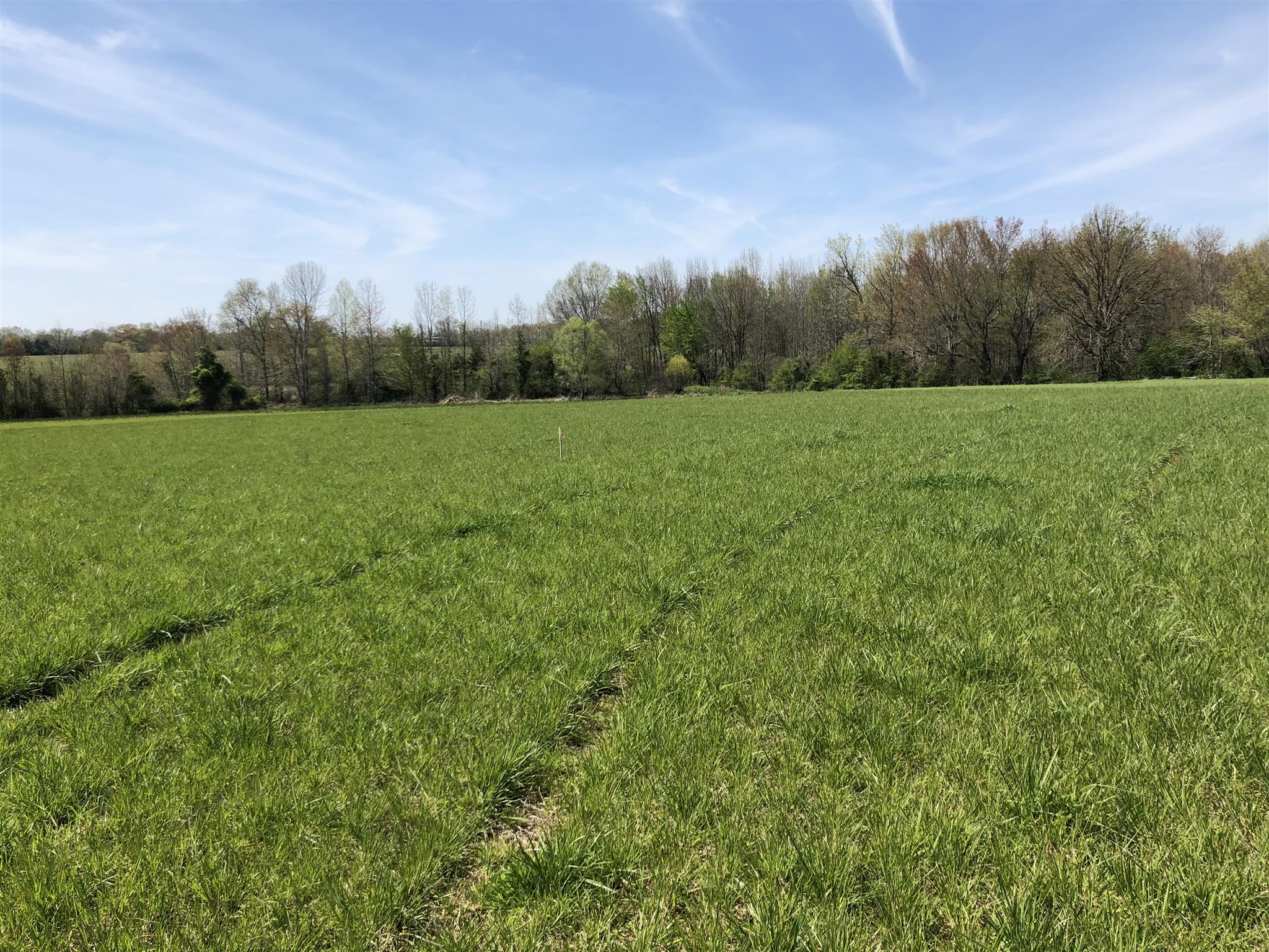 347 Patrick Road Fayetteville, TN 37334 - Photo 4 of 5