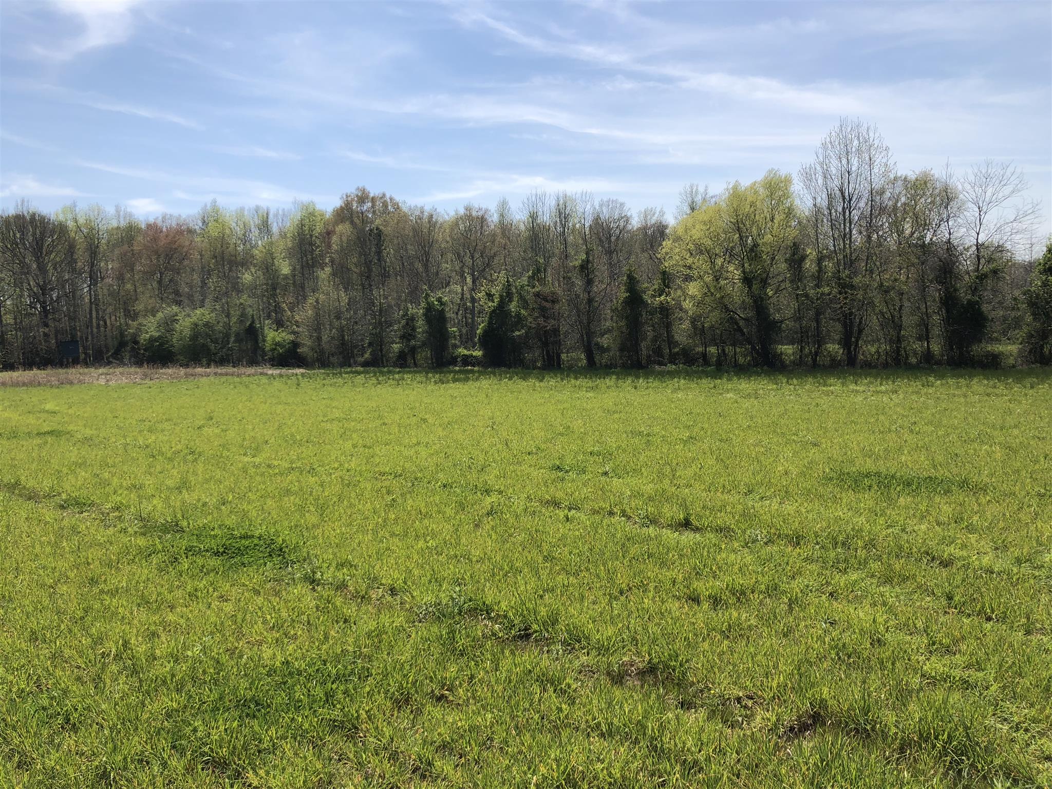 347 Patrick Road Fayetteville, TN 37334 - Photo 5 of 5
