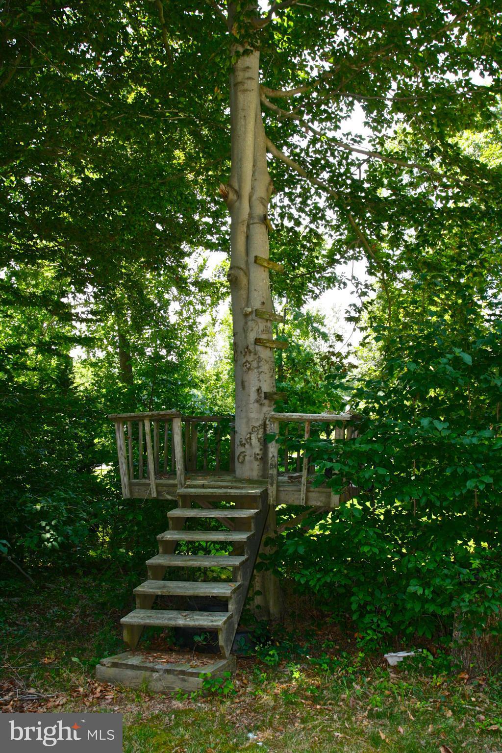 2120 Stinnett Road Huntingtown, MD 20639 - Photo 27 of 29 Exterior (Rear)