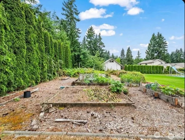 a view of a yard with plants and a bench