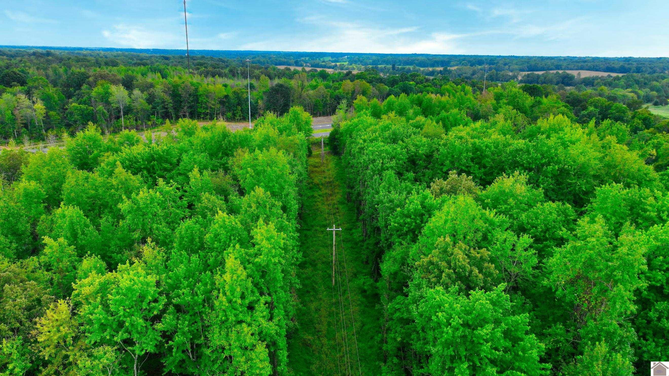 0 Purchase Pkwy Frontage Road Wingo, KY 42088 - Photo 5 of 14 Photo 5