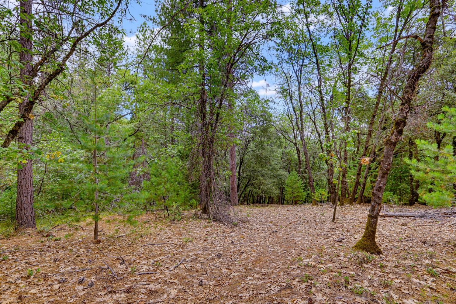 16020 Brooks Road Grass Valley, CA 95945 - Photo 5 of 12