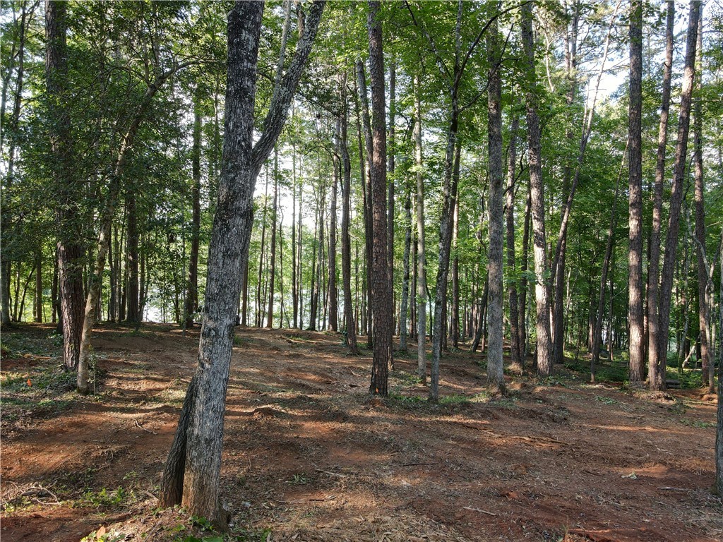 54 Harbor Point Road Seneca, SC 29672 - Photo 12 of 18 Gallery Image 12