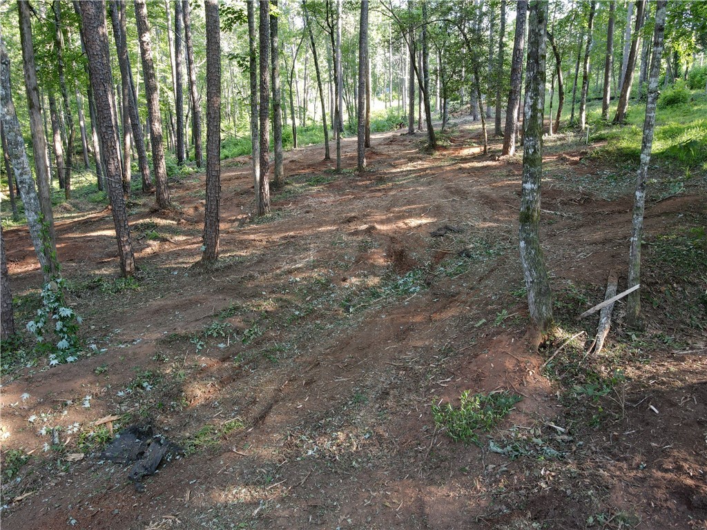 54 Harbor Point Road Seneca, SC 29672 - Photo 13 of 18 Gallery Image 13