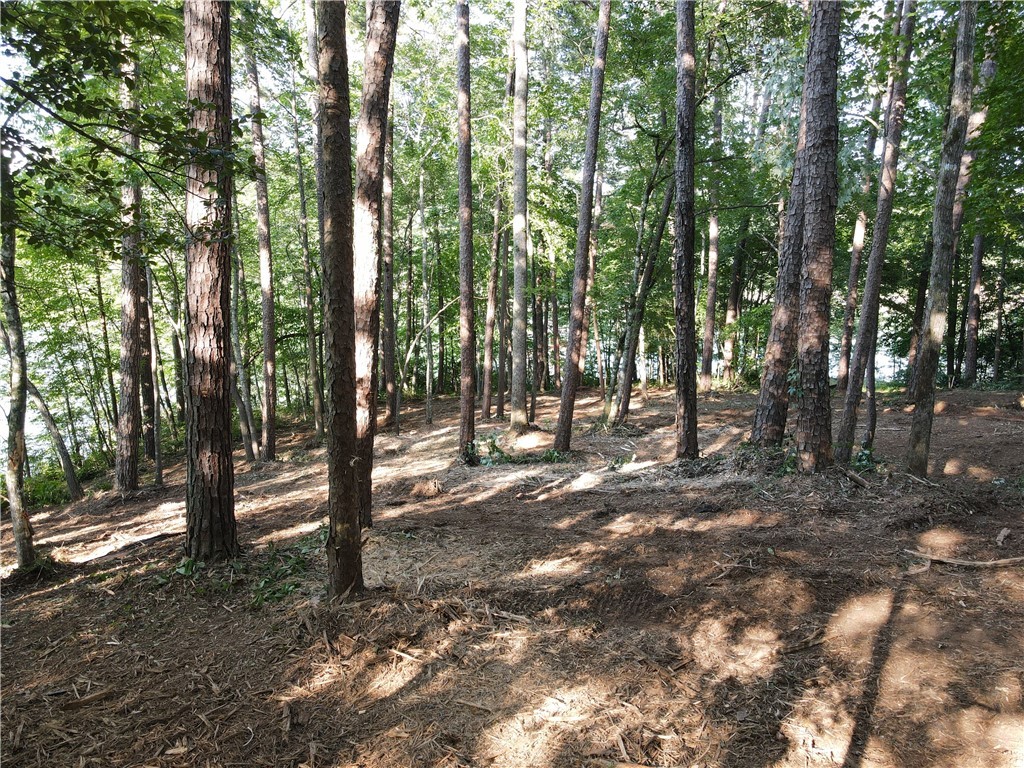 54 Harbor Point Road Seneca, SC 29672 - Photo 17 of 18 Gallery Image 17
