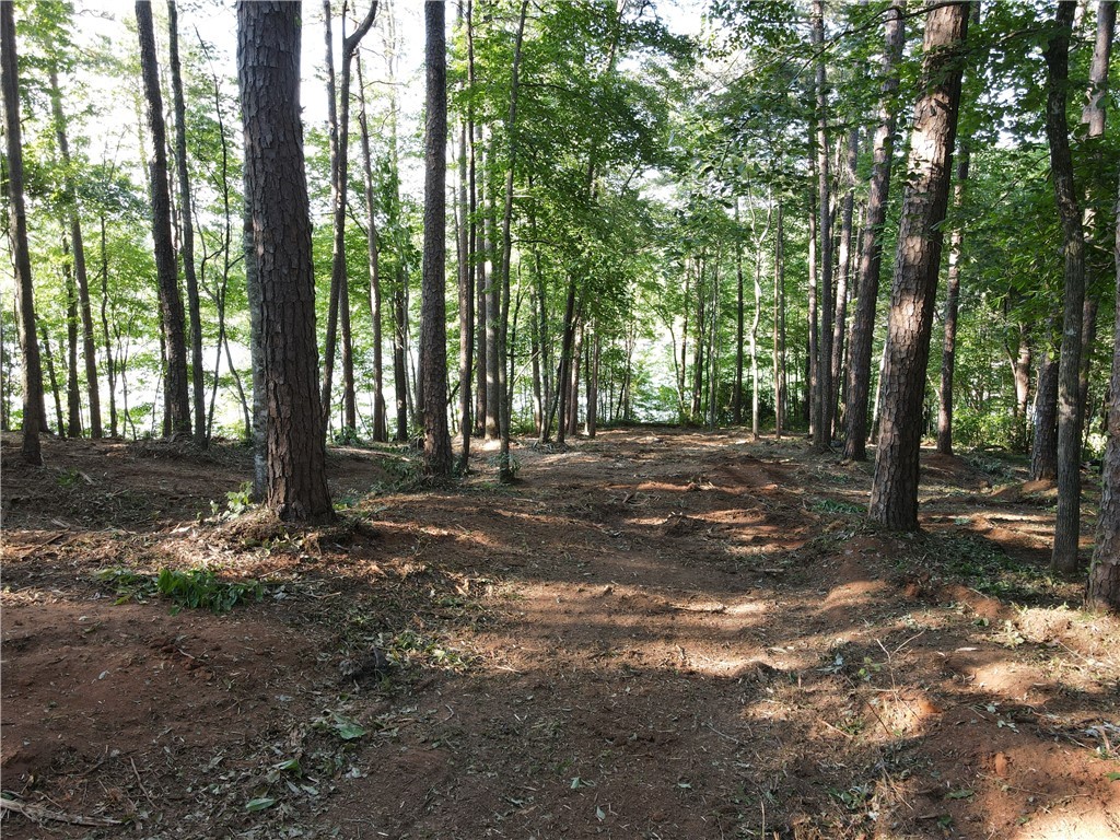 54 Harbor Point Road Seneca, SC 29672 - Photo 18 of 18 Gallery Image 18